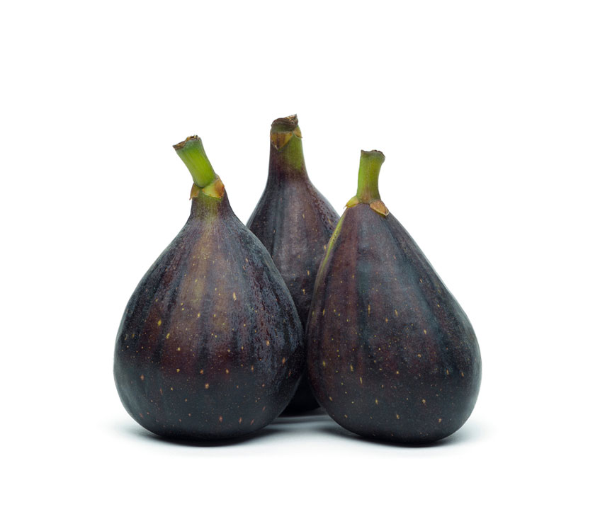 نهال انجیر امریکایی